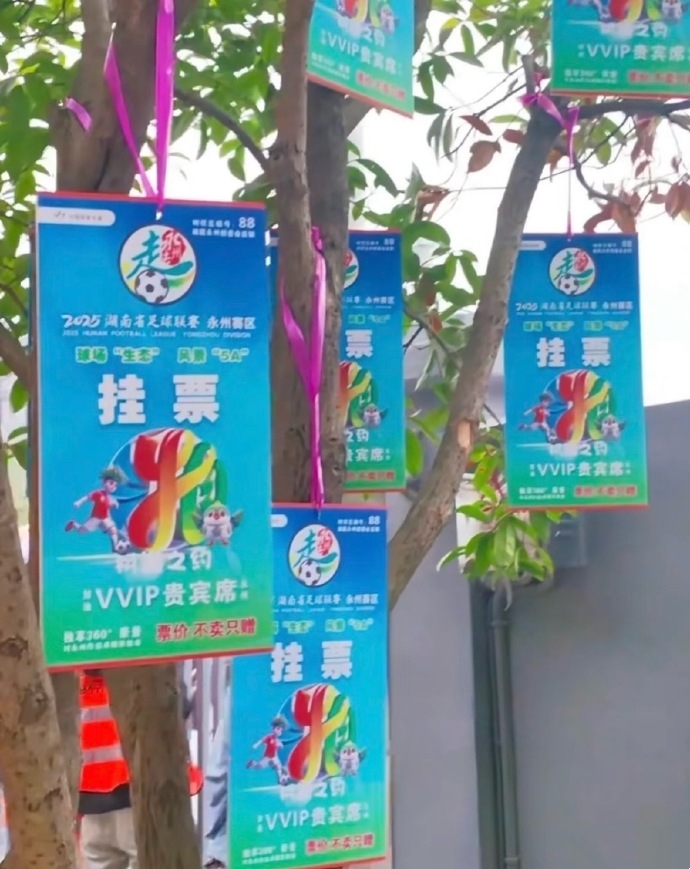 树上挂票引, cn, 掉下