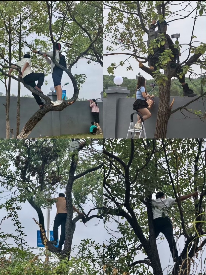 需球迷自行, 就不敢挥手