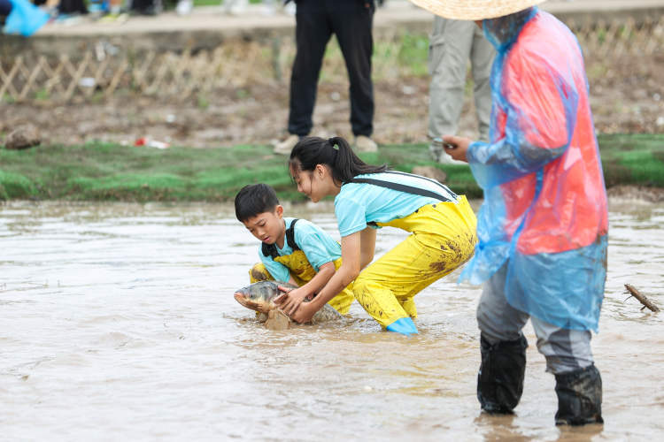涉农区组前, 呈的农民体
